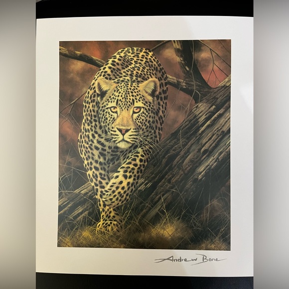 Signed Artist Animal Print & Animal Themed Artwork Postcards - Picture 4 of 4
